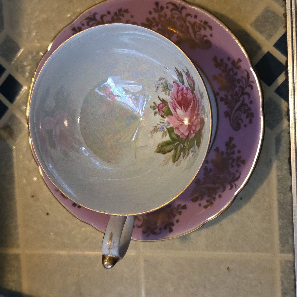L M Vintage Royal Halsey Fine Pink Roses Tea Cup Saucer.